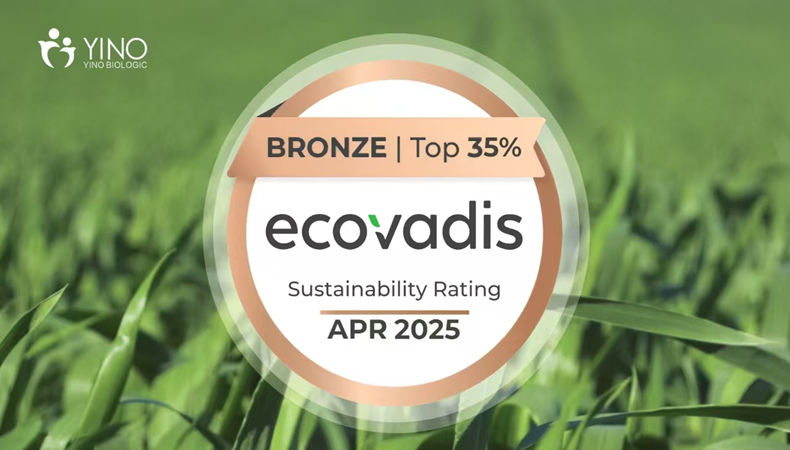 YINO awarded EcoVadis Bronze Certification